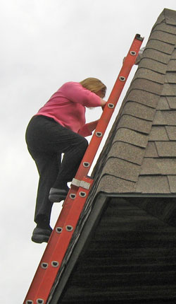 Kathleen on ladder